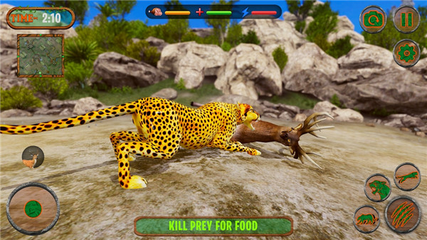 捷豹模拟器野猫游戏截图3